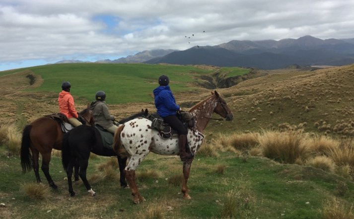 Beaumont High Country Experience景点图片
