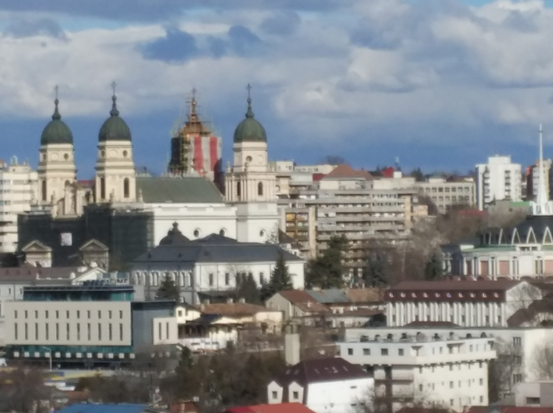 Iasi Tourist Info Center景点图片