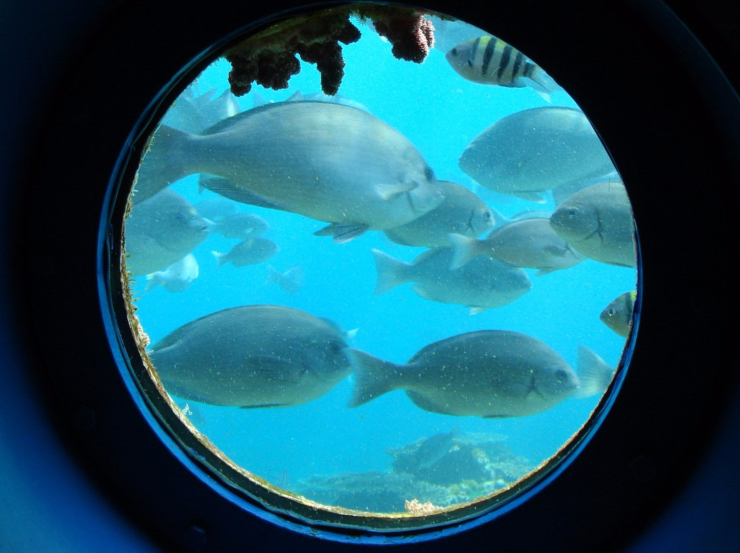 Kushimoto Marine Park Undersea Tower-串本町必去景点