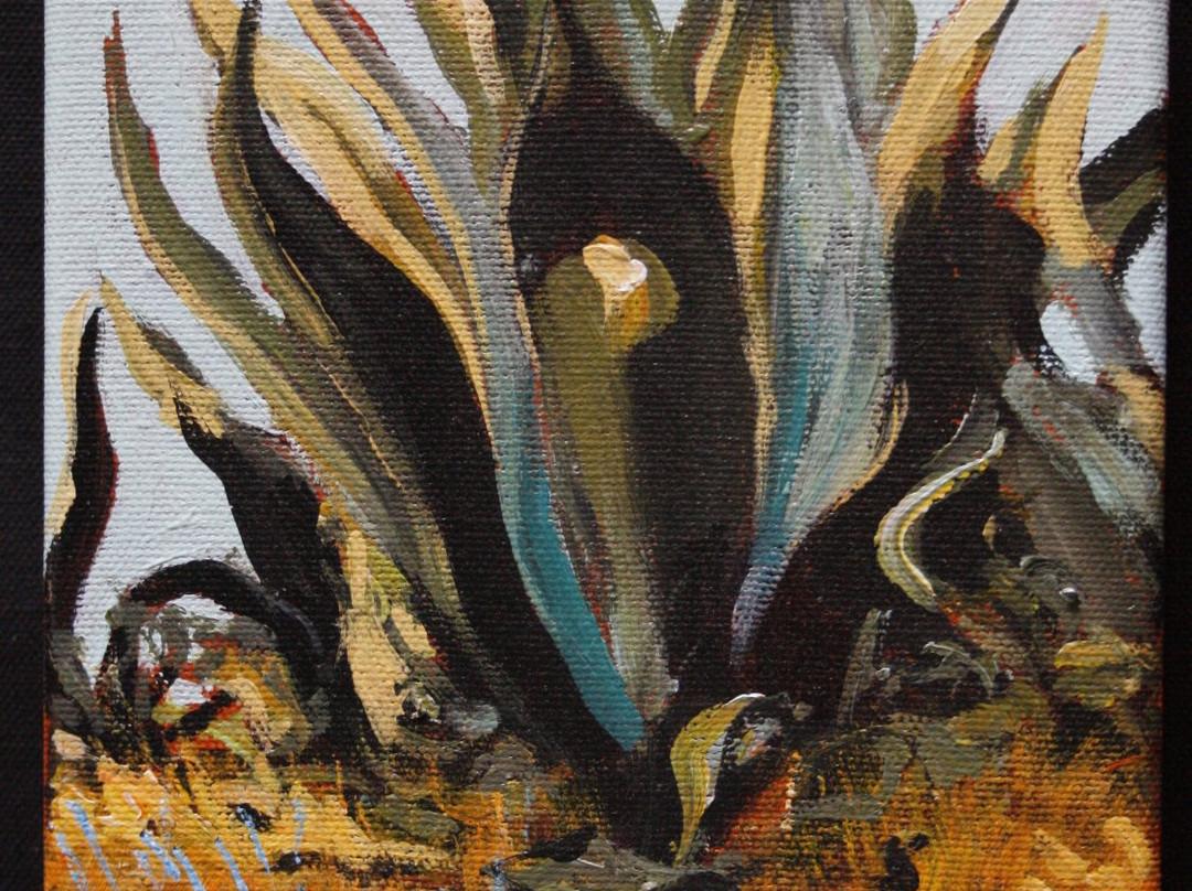 Juan Zaragoza Galeria-圣米格尔护城必去景点