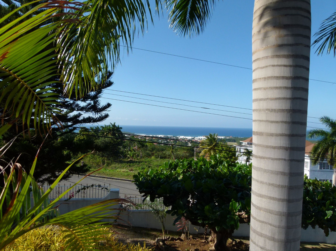 Chateau De La Rose Bed & Breakfast主图