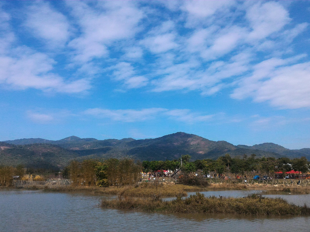 天适樱花悠乐园-从化市必去景点