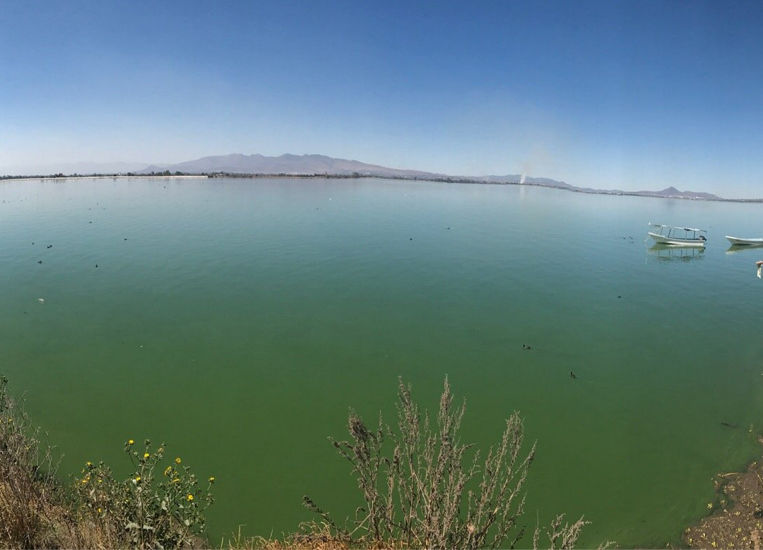 Parque Ecoturistico Laguna de Zumpango景点图片
