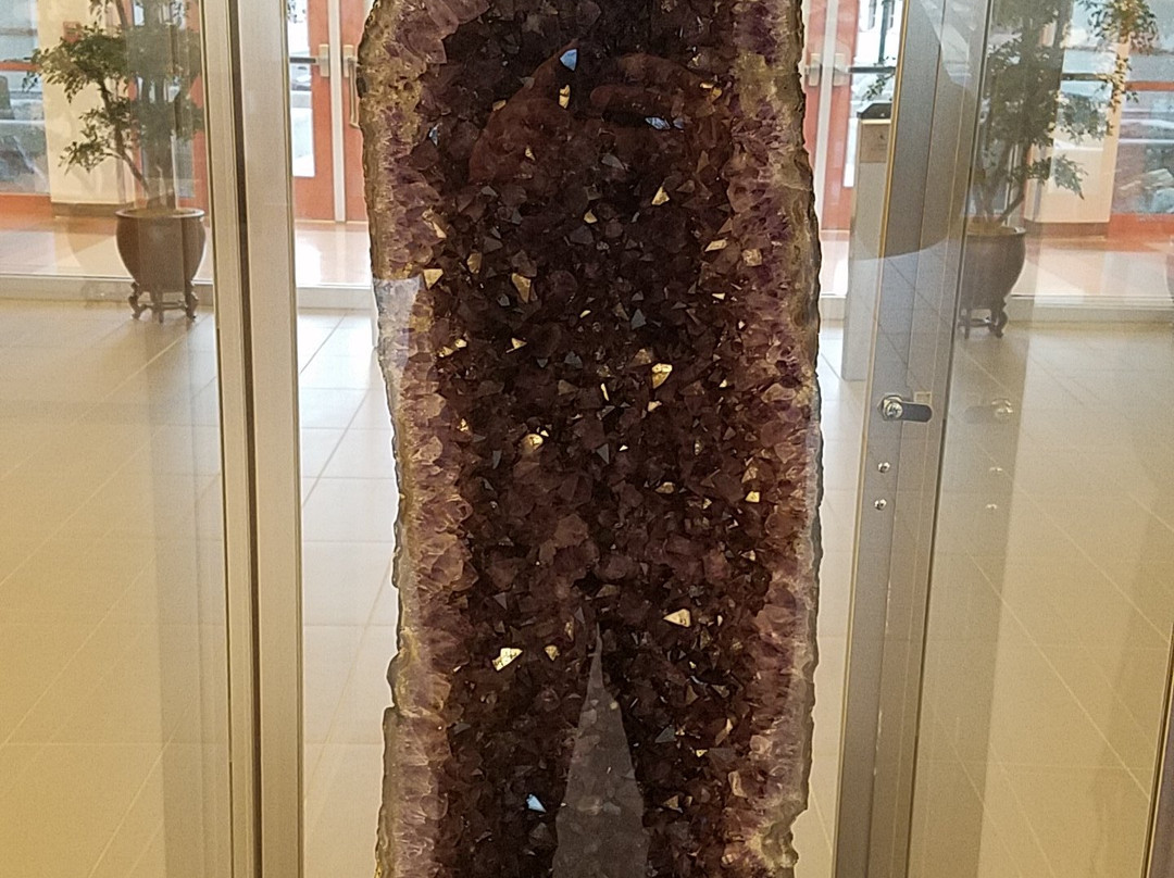 Mineralogical Museum-索科罗必去景点