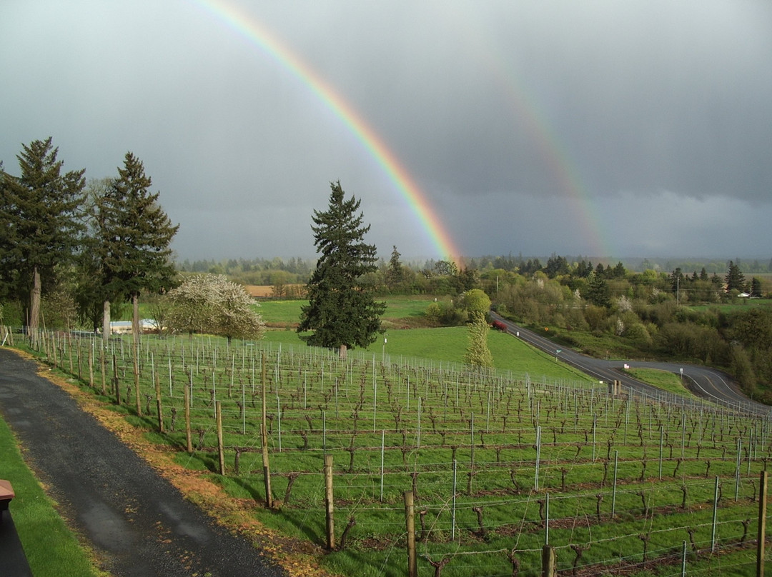 Stangeland Vineyards-塞勒姆必去景点