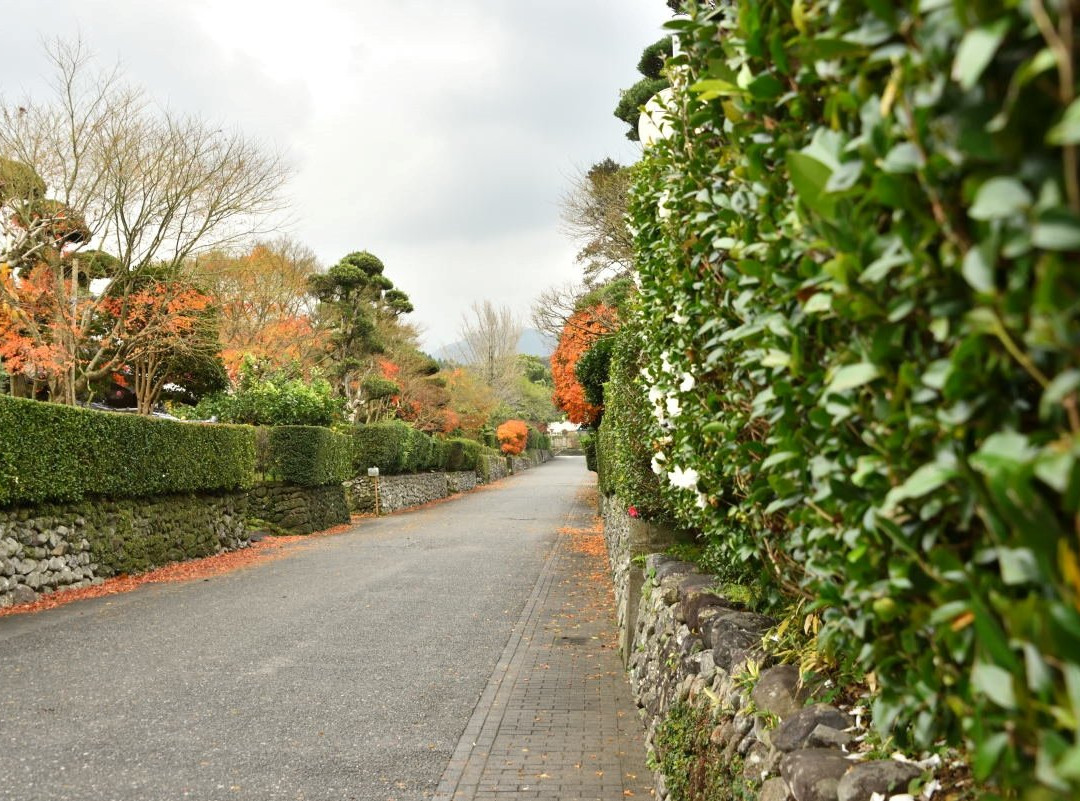 Izumi Fumoto Samurai Houses-出水市必去景点