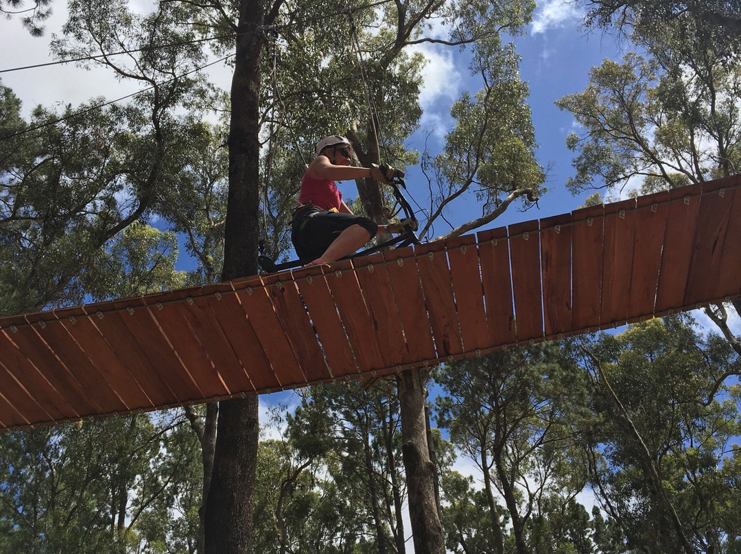 Forest Adventures景点图片