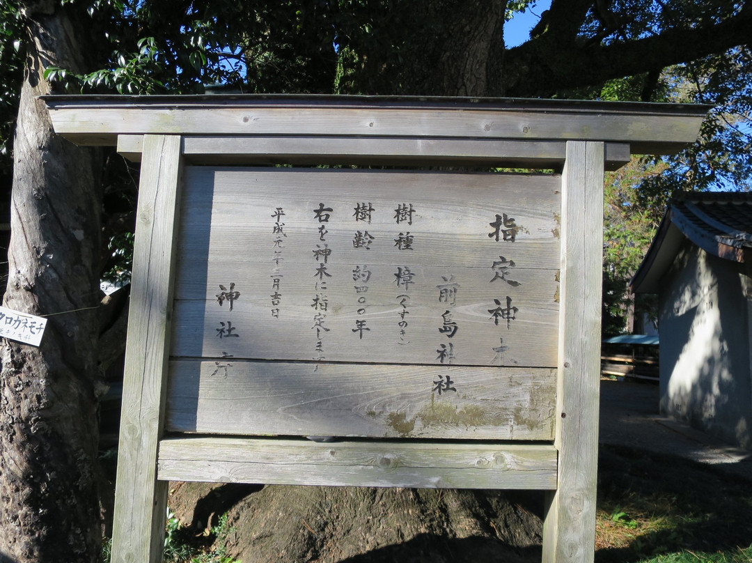 Maejima Shrine景点图片