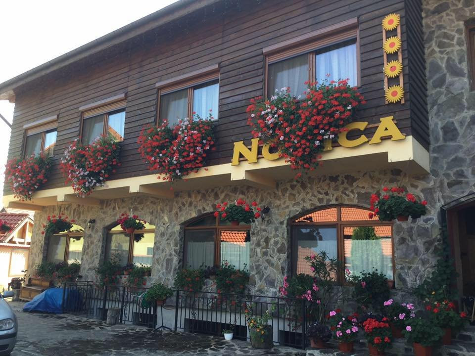 Gura Raului酒店住宿-Pensiunea Norica