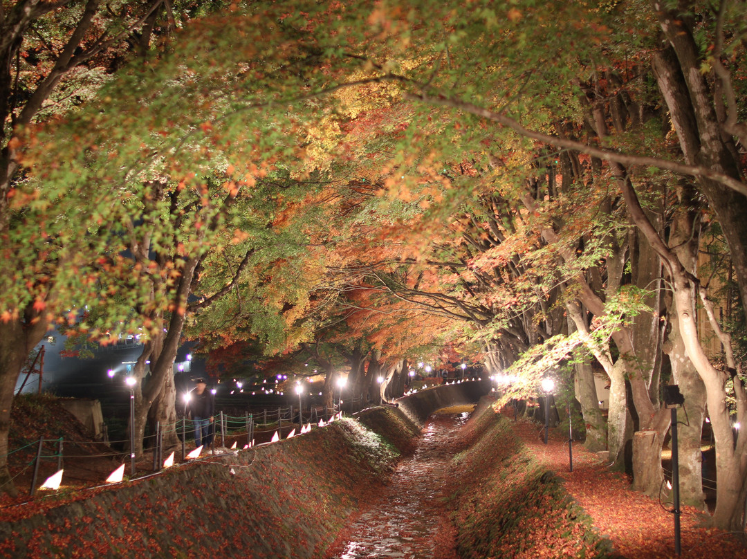 Fuji Lake Kawaguchi Koyo Festival景点图片