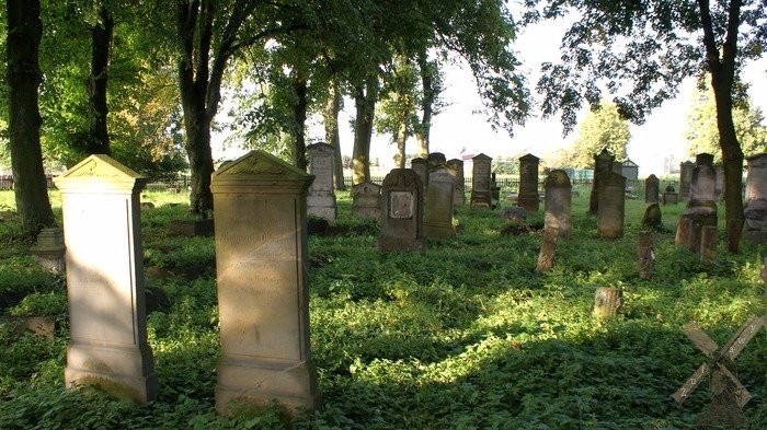 Mennonite Cemetery景点图片