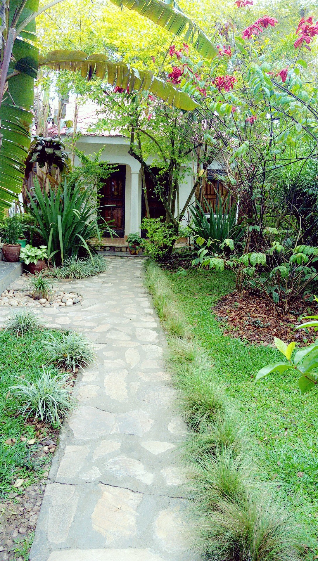 Cielo Country Inn-官方