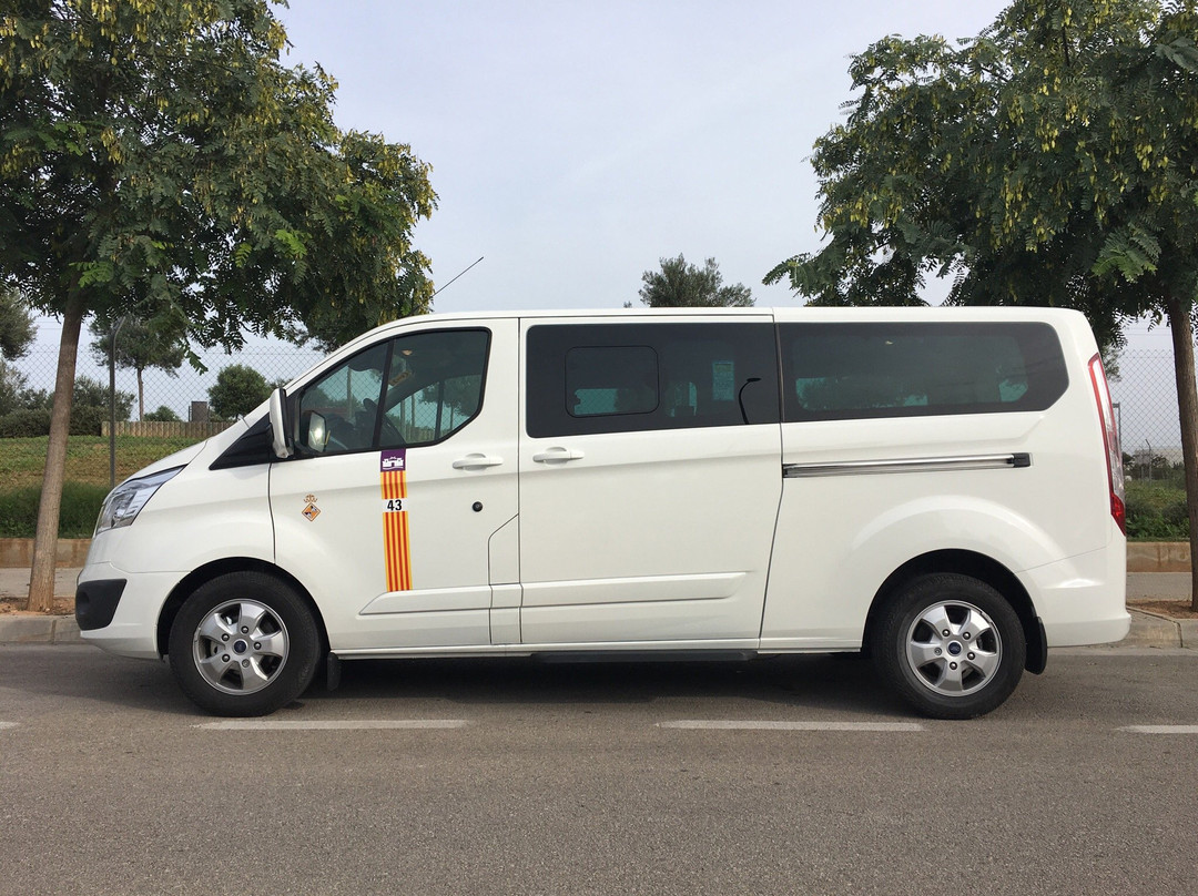Bt Group Mallorca Buses景点图片