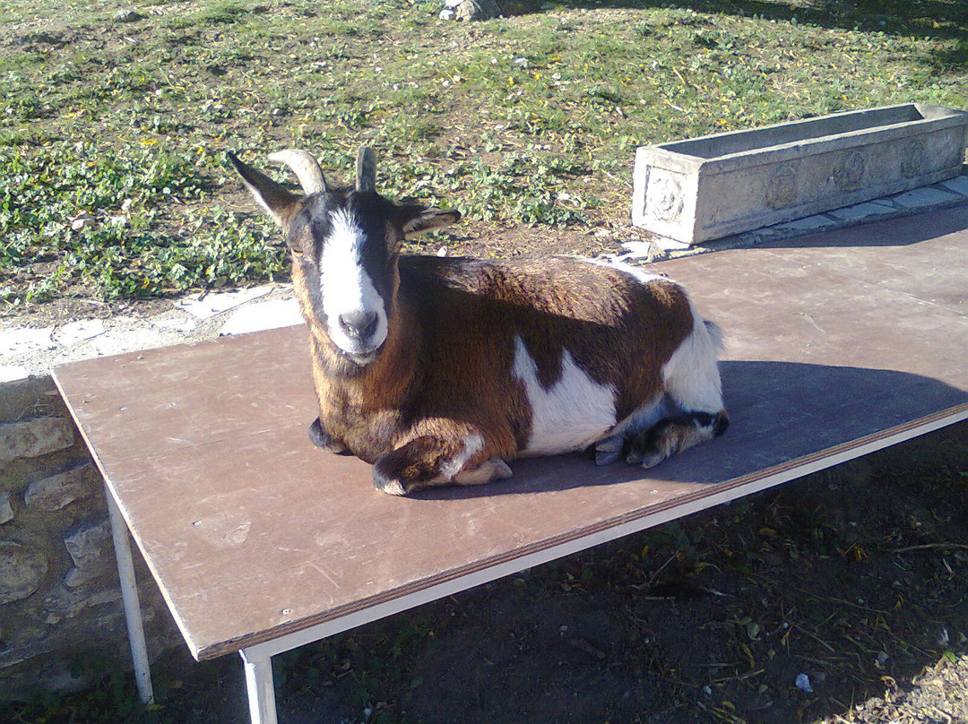 La Ferme Coudert-Vallerargues必去景点