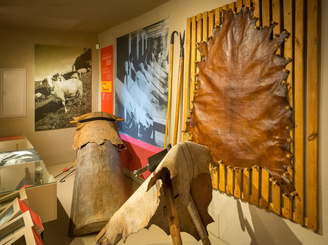 Trzic Museum-特尔日奇必去景点