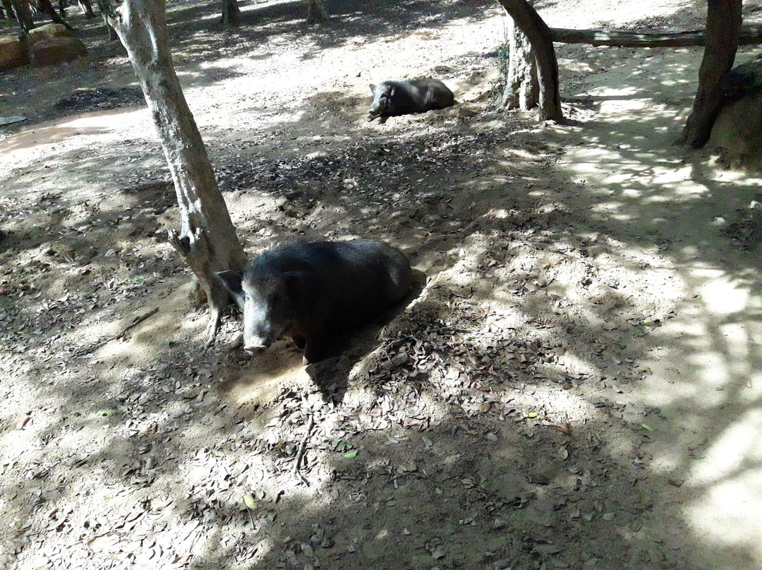 Hema Safari-蒂瑟默哈拉默必去景点