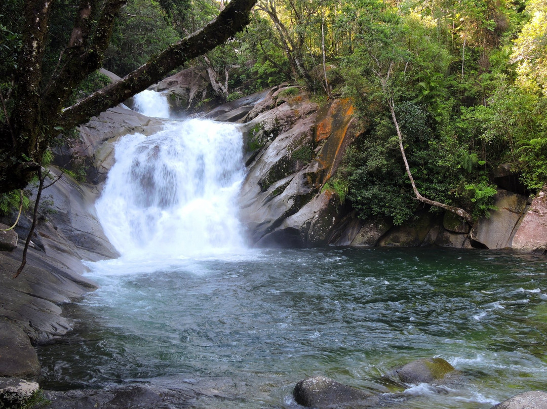 Bellenden Ker旅游景点-Wooroonooran National Park