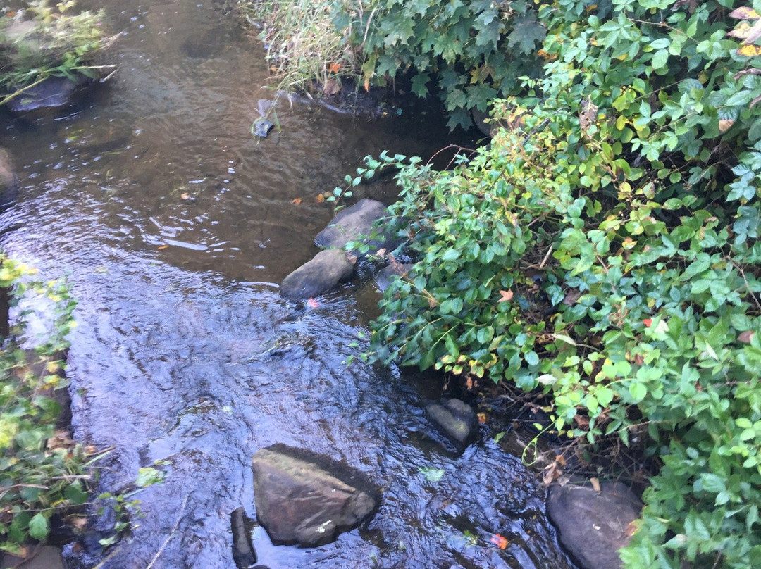 Old Town Mill-新伦敦必去景点