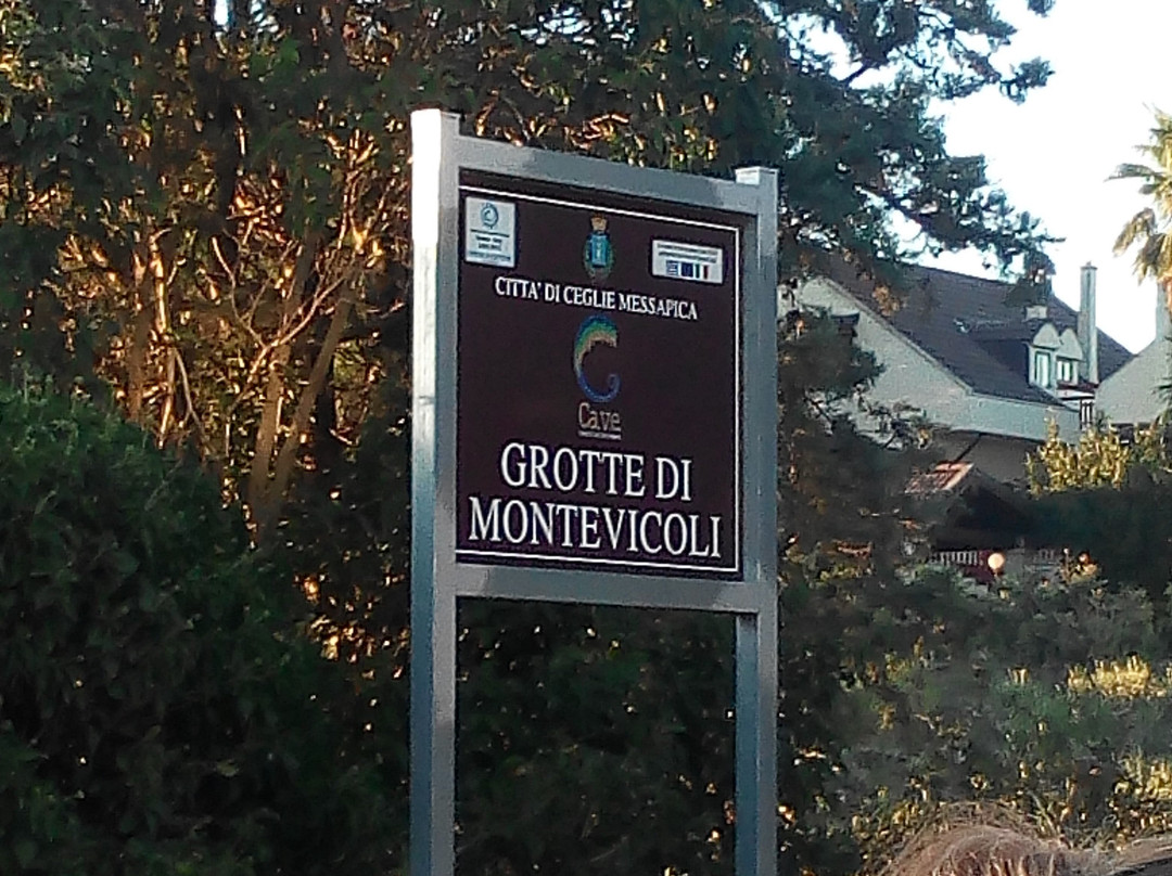Grotte di Montevicoli景点图片