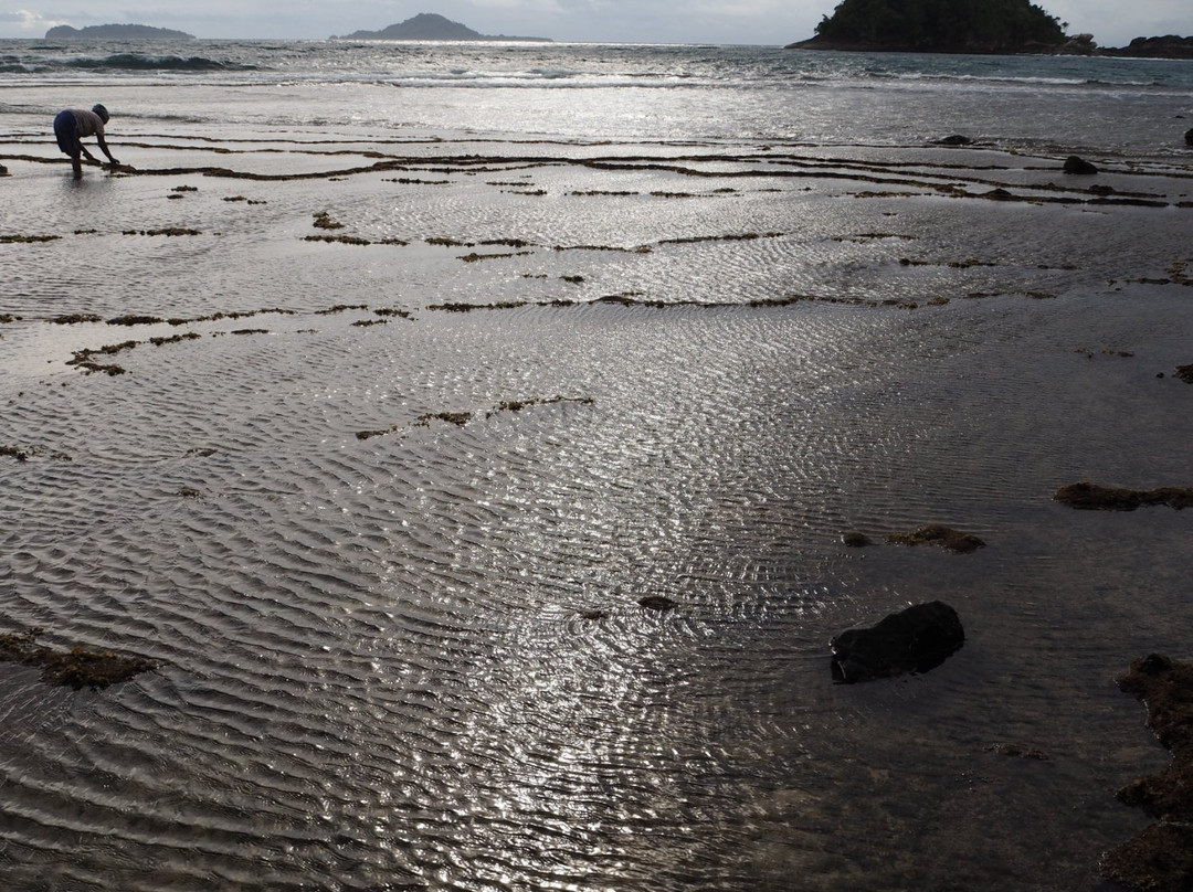 Batu Nago Island-South Pesisir必去景点