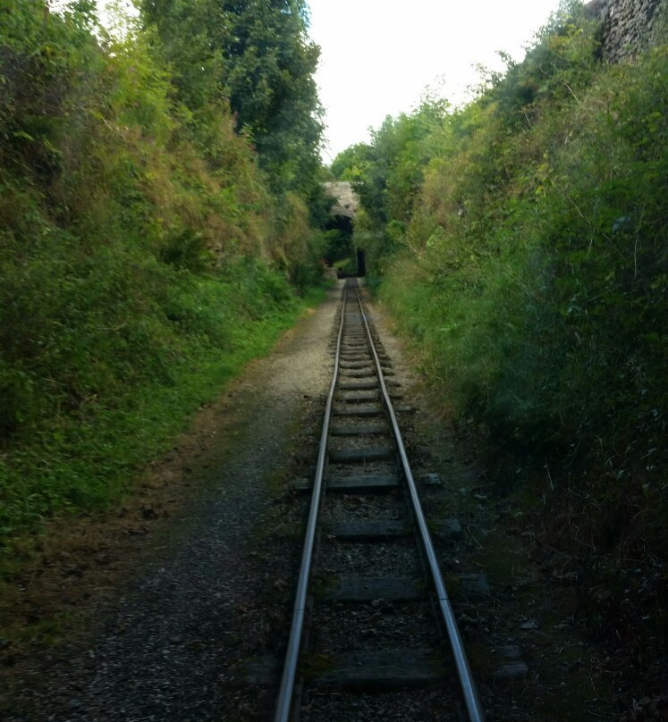 Steeple Grange Light Railway-马特洛克必去景点