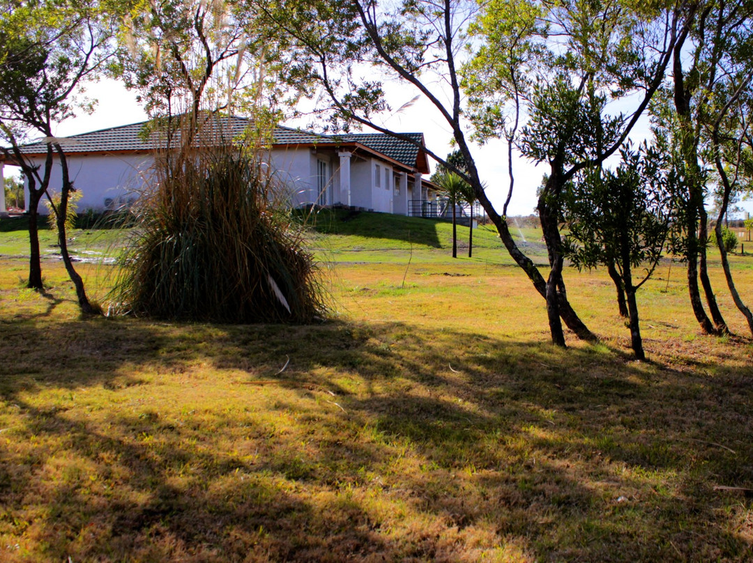 Nueva Helvecia酒店住宿-Posada Casamatamora