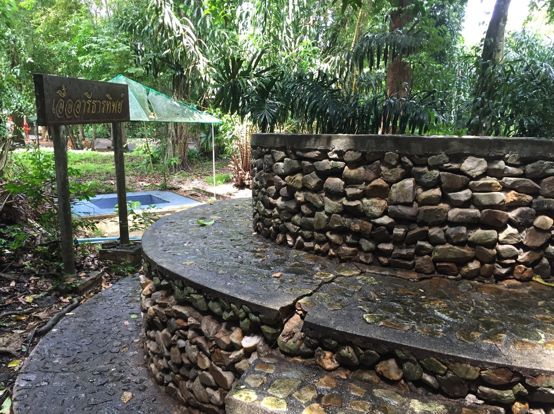 Tham Khao Plu Hot Spring景点图片