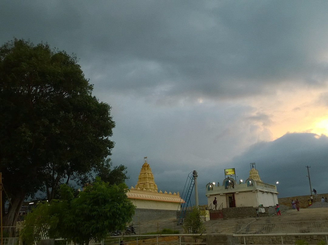 Thimmarayaswamy Fort Temple景点图片