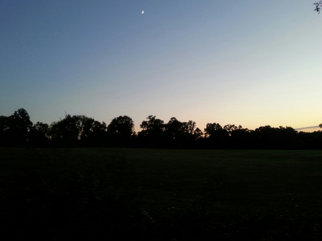 Victor Ashe Park-诺克斯维尔必去景点