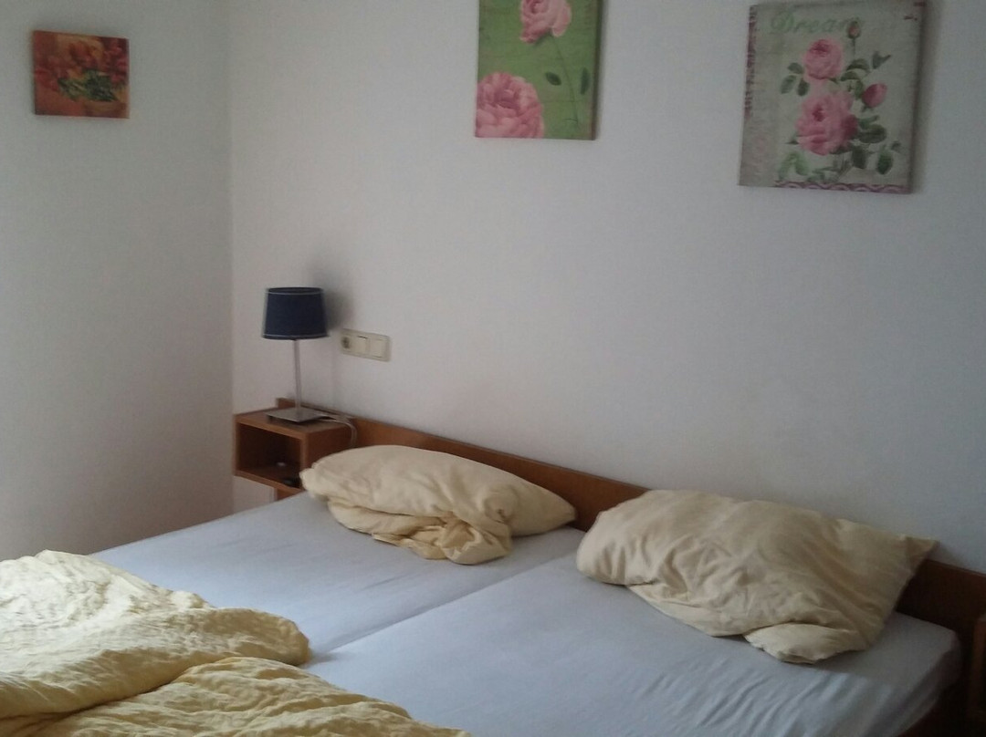 Gaststaette- Pension Goetzfried主图