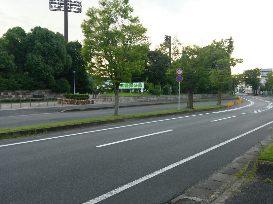 Kashihara Sports Park景点图片