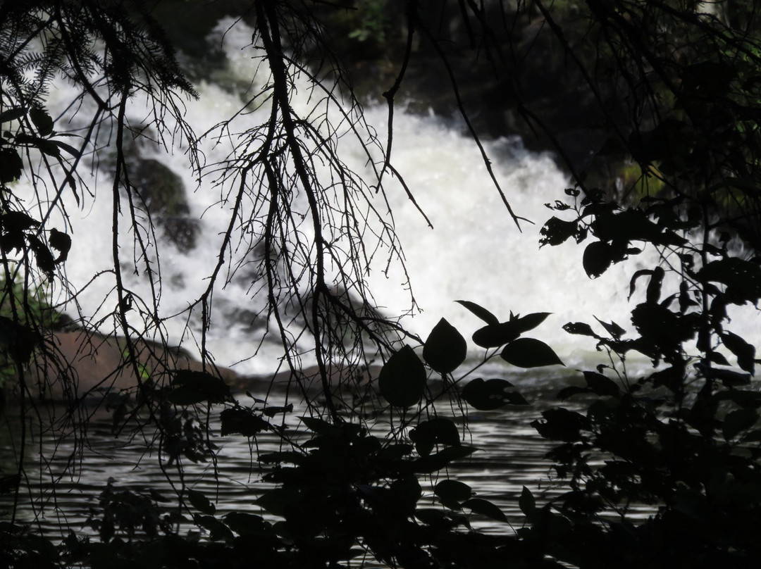 12 Foot Falls County Park-Dunbar必去景点