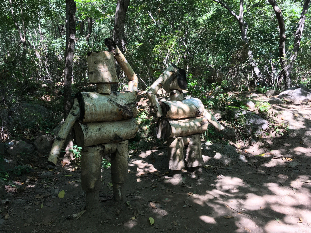 松山森林旅游区-北京市必去景点