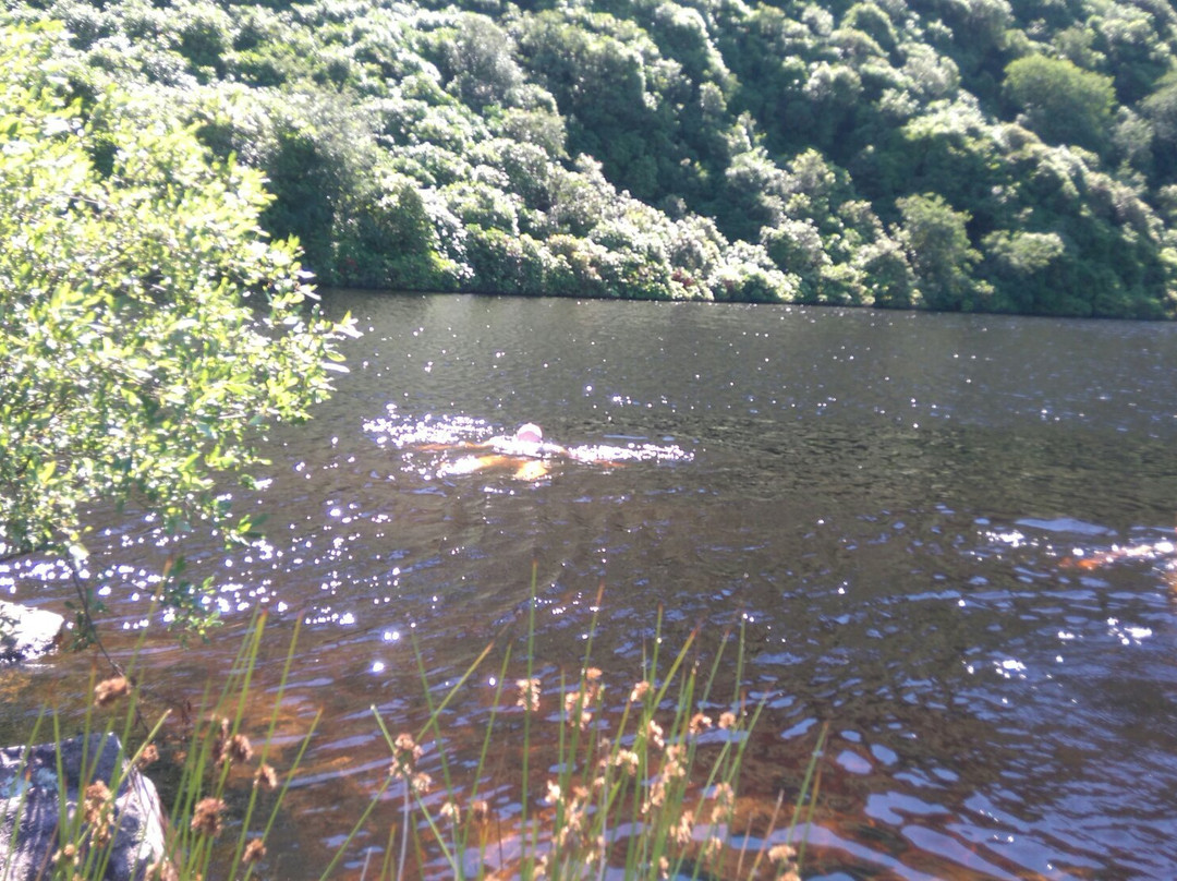 Bay Lough-Clogheen必去景点