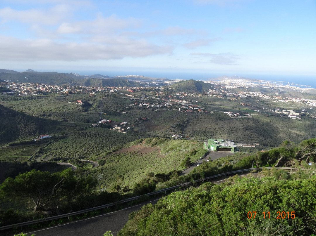 Mirador Pico de Bandama景点图片