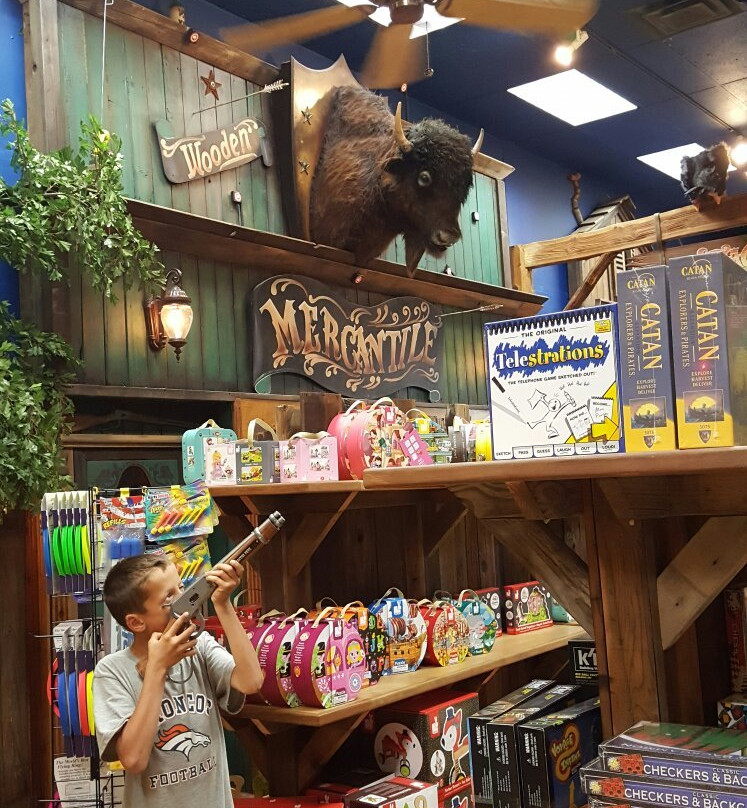 The Jackson Hole Toy Store-杰克逊必去景点