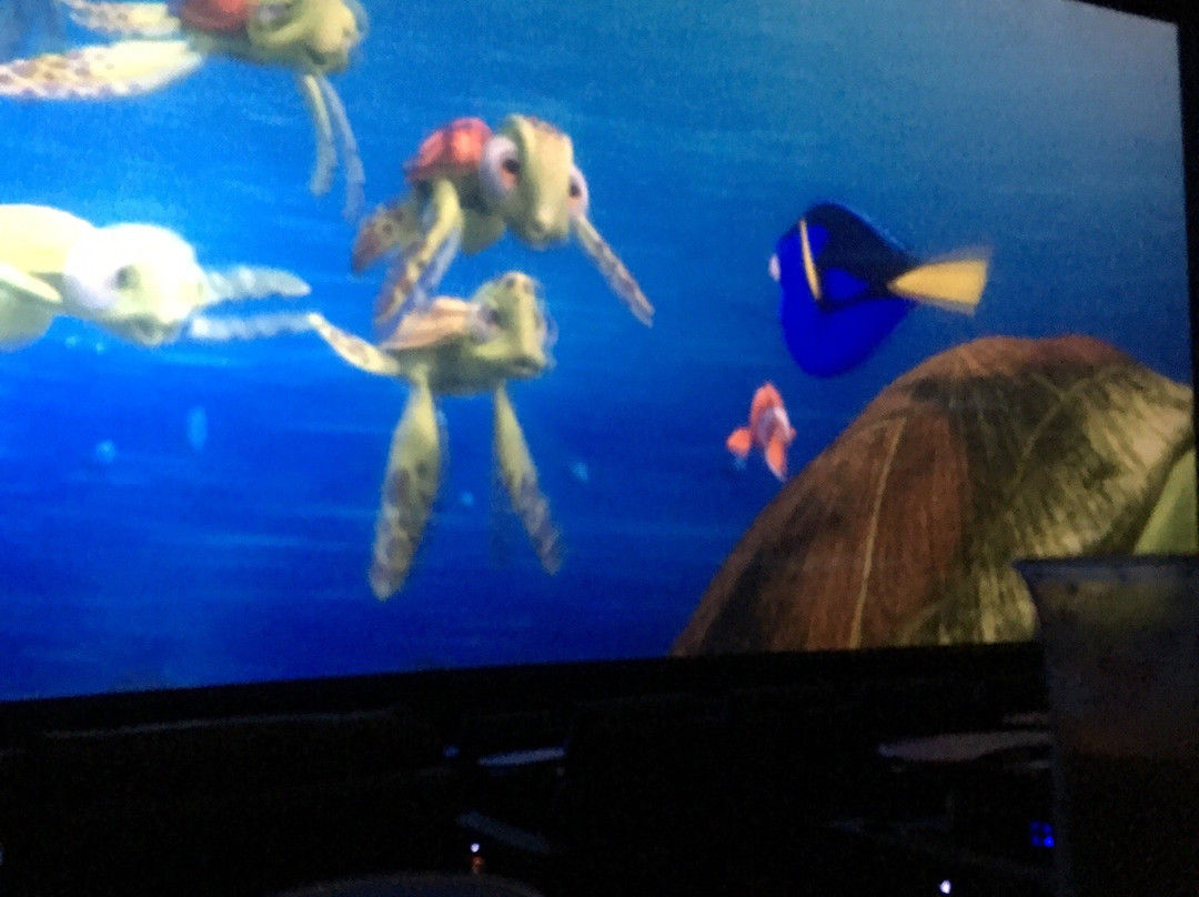 Cinema Cafe Edinburgh-切萨皮克必去景点