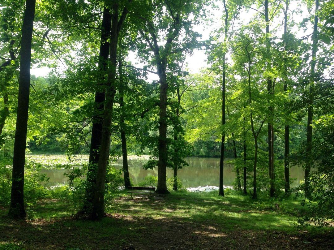 Buddy Attick Park-格林贝尔特必去景点