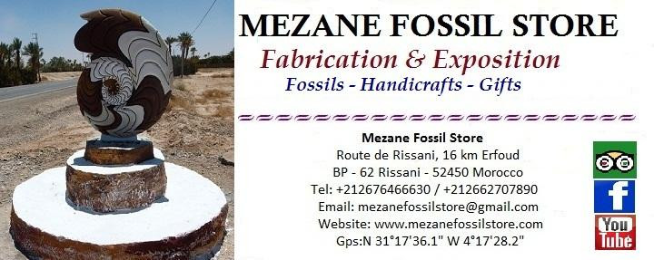Mezane Fossil Store-Rissani必去景点