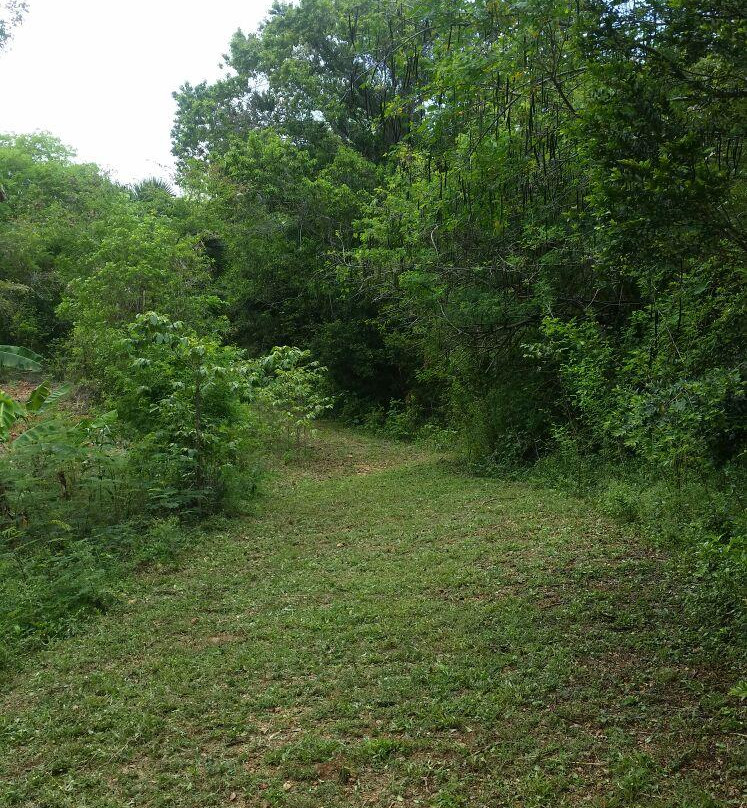 Yaguate旅游攻略图片