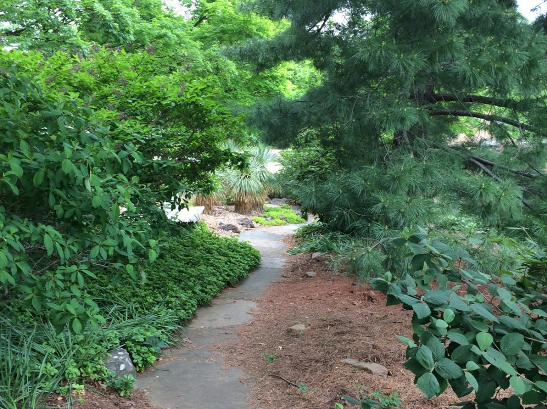 Wilson Park景点图片
