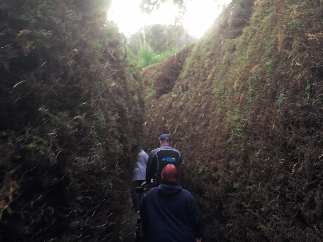 Wandiligong Maze-Wandiligong必去景点