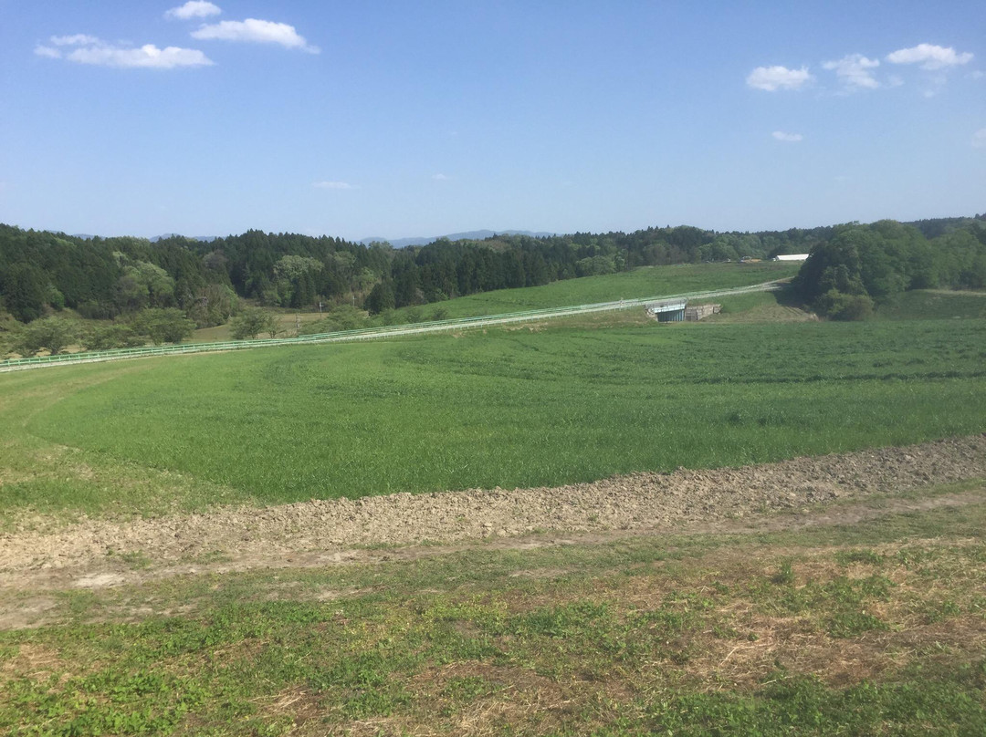 Narita Fureai Ranch-甲贺市必去景点