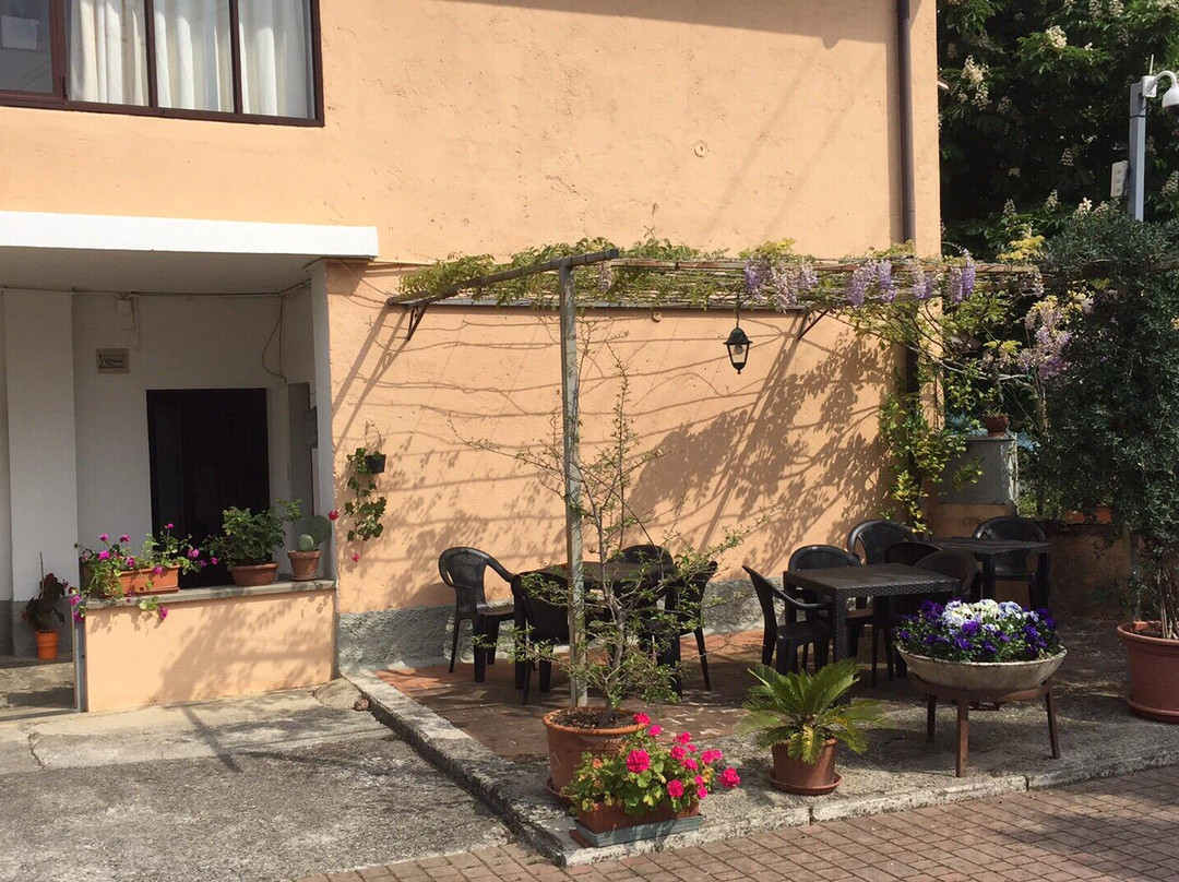 B&B Il Vigneto