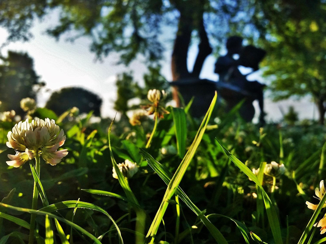 Old Settlers Park景点图片