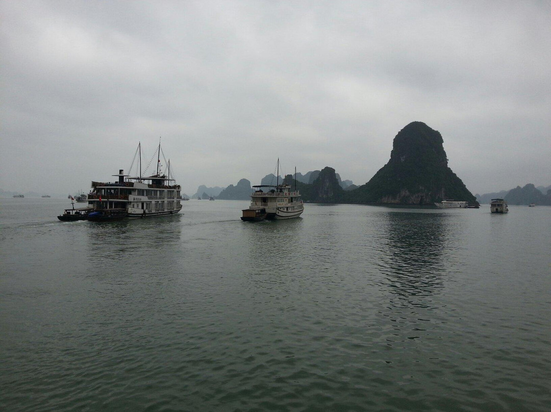 Cat Ba Tours景点图片