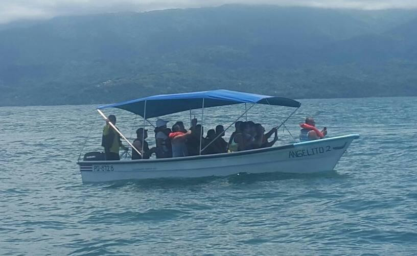 Dominicalito Fishing Tours景点图片