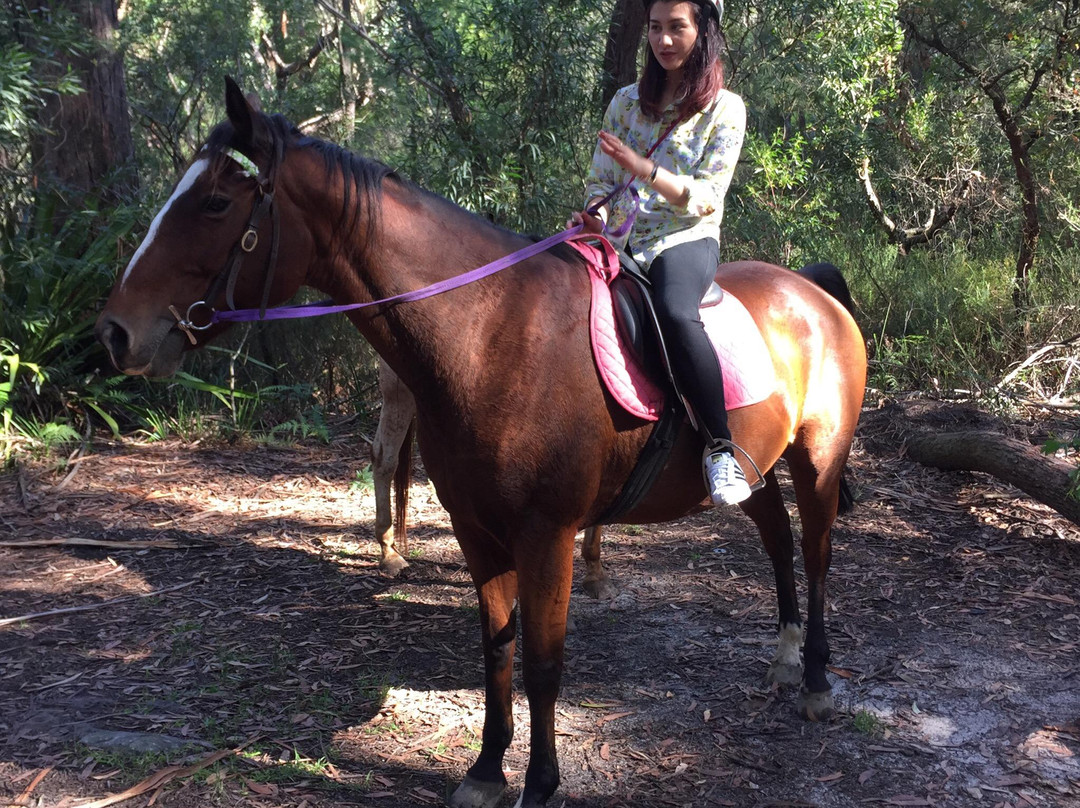 Otford Farm-Otford必去景点