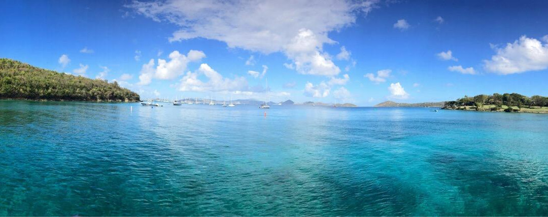 Dolphin Water Taxi-圣 托马斯必去景点