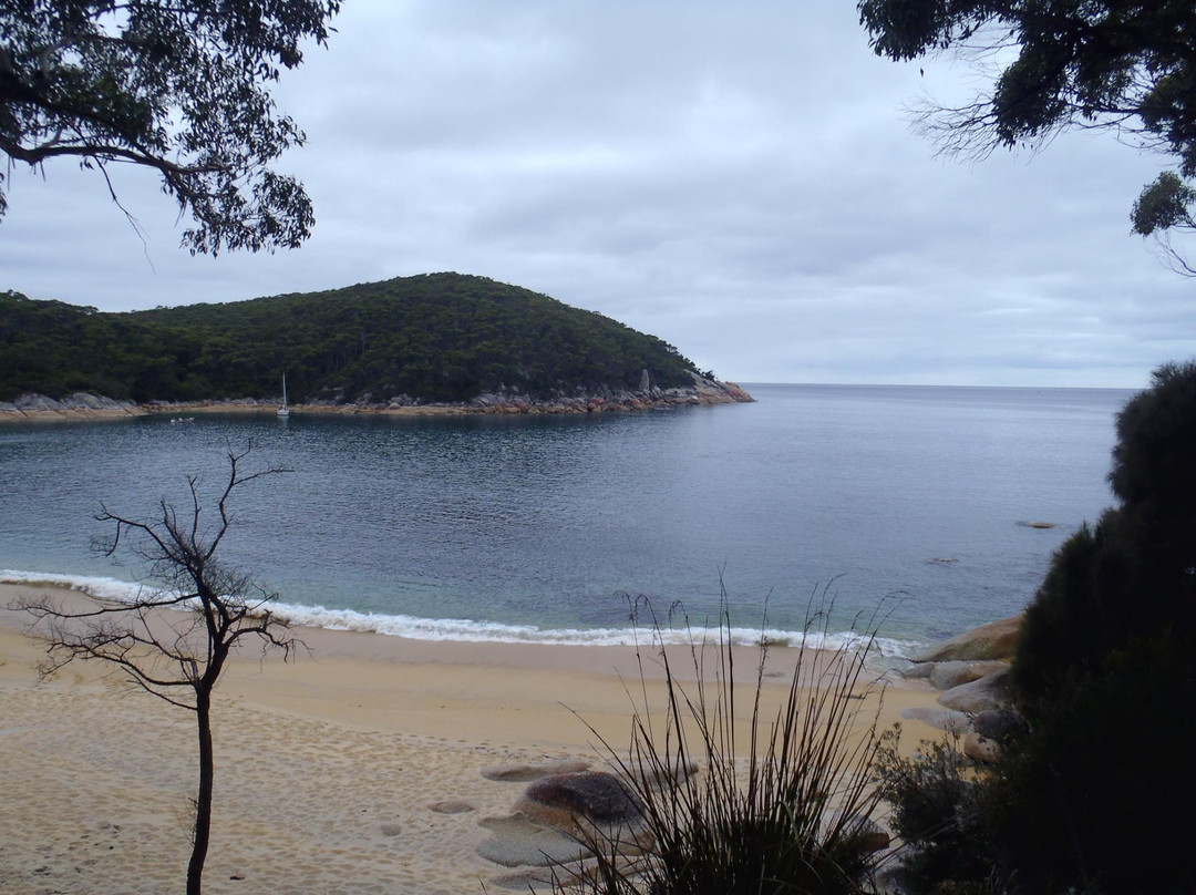 Kraken Tours-福斯特必去景点